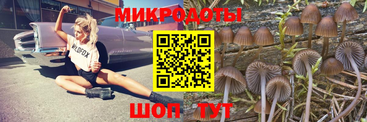 Псилоцибиновые грибы GOLDEN TEACHER Чехов